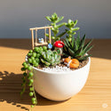 Miniature Garden DIY
