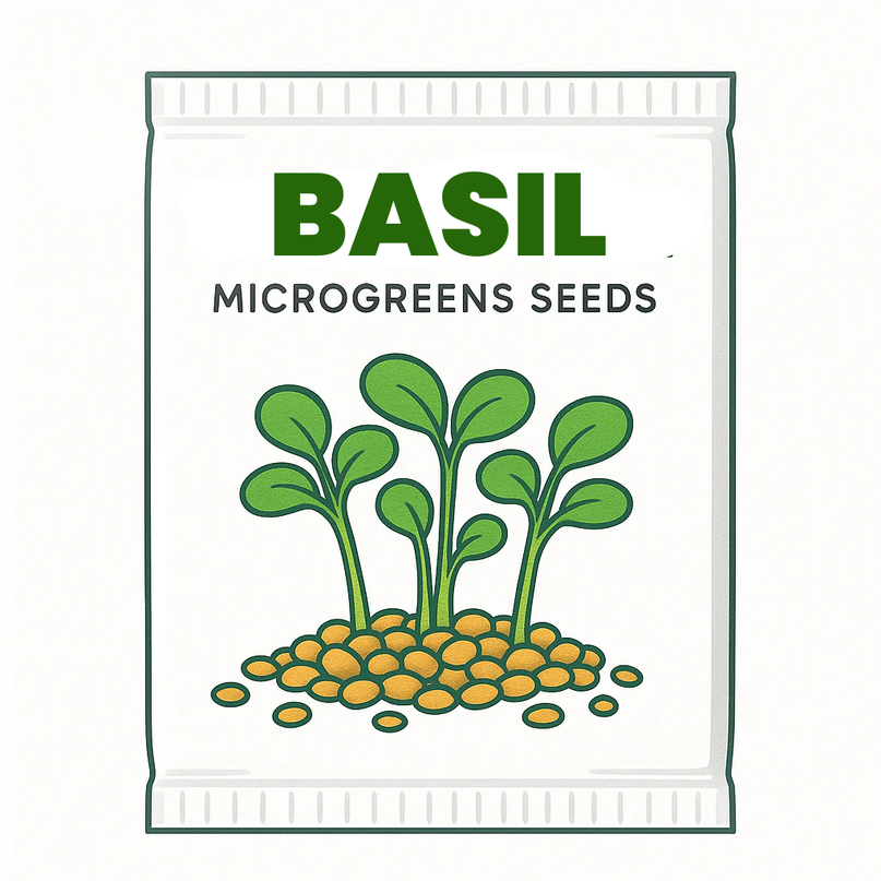 Basil Microgreens Seeds - 20g