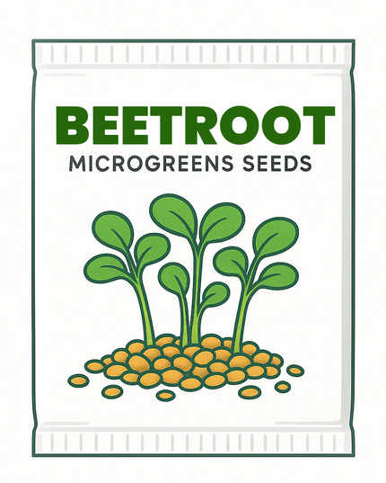 Beetroot Microgreens Seeds - 20g