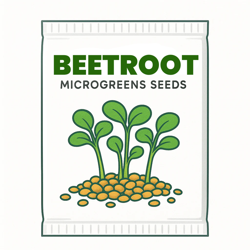 Beetroot Microgreens Seeds - 20g