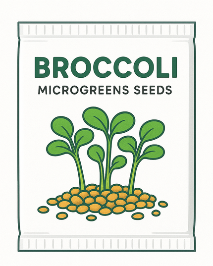 Broccoli Microgreens Seeds - 20g