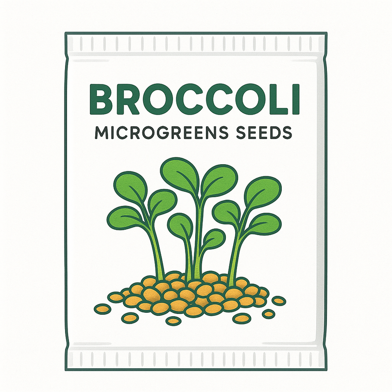 Broccoli Microgreens Seeds - 20g