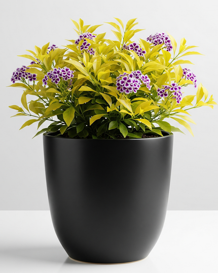Golden Duranta