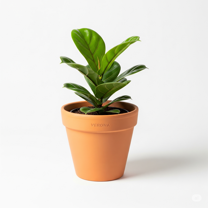 Verona Pot