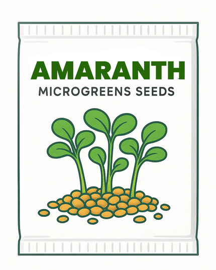 Amaranth Microgreens Seeds - 20g