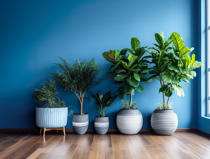 <h1>Where Green Meets Blue.</h1>